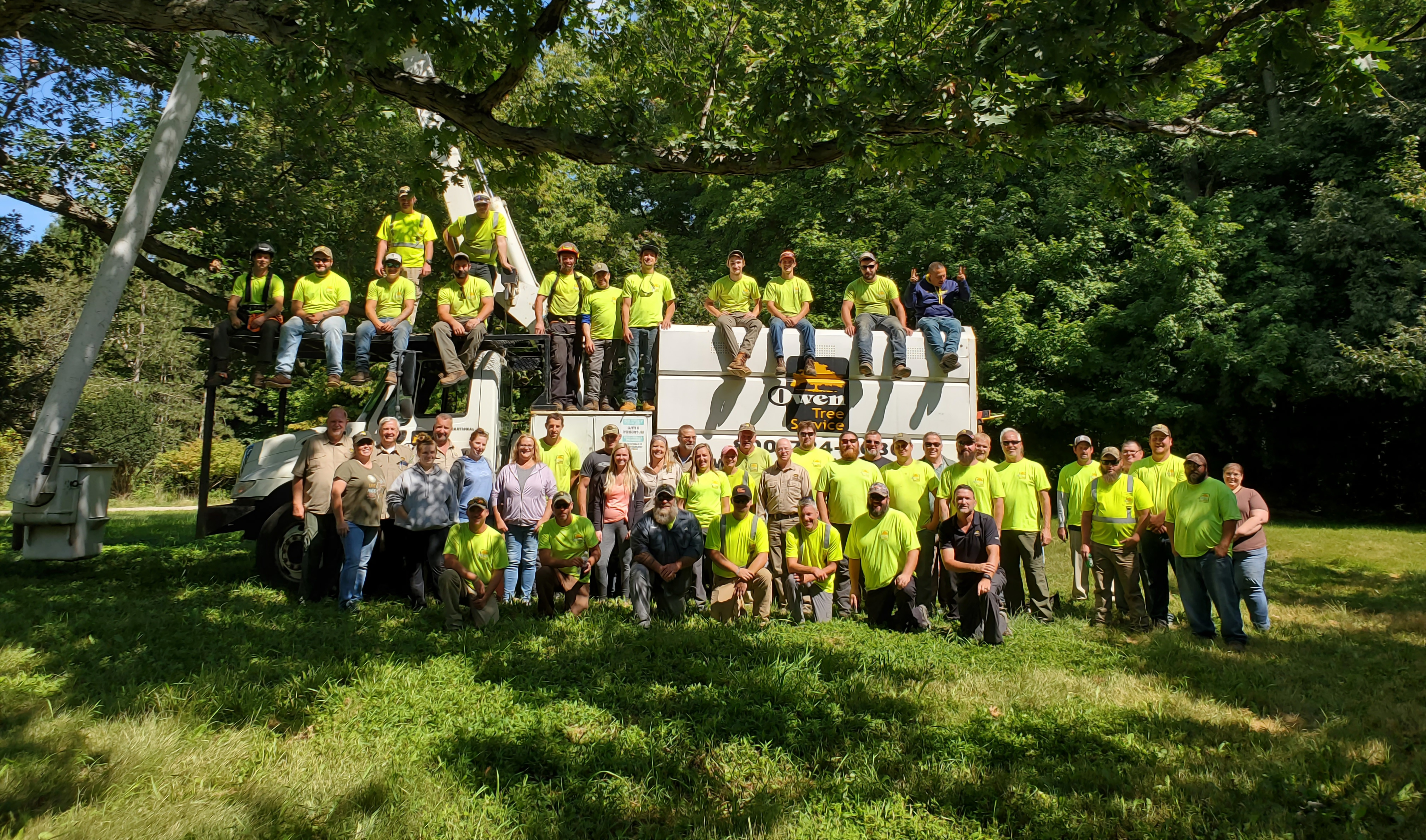 Tree Service in Bloomfield Hills, MI