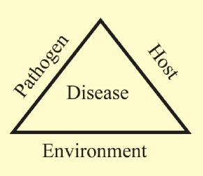 Tree disease triangle