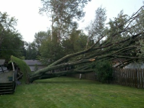 Storm damaged tree removal Oakland County MI