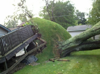 Storm damaged tree removal Flint MI