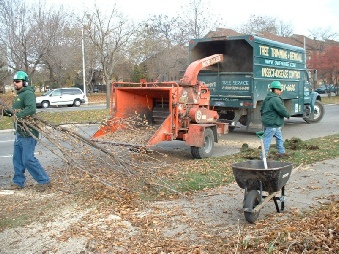 Tree removal Macomb County MI