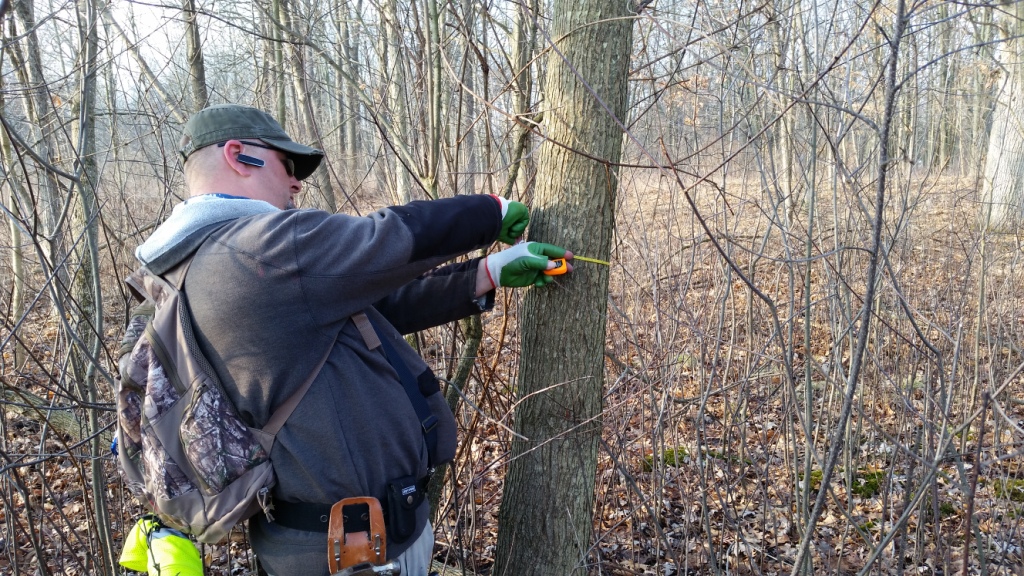 Tree survey-tree tagging