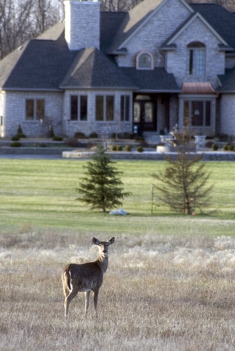 Brad Dunkin, ISA Certified Arborist