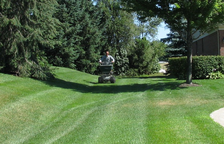 Lawn fertilization and weed control. |Owen Tree & Lawn Care