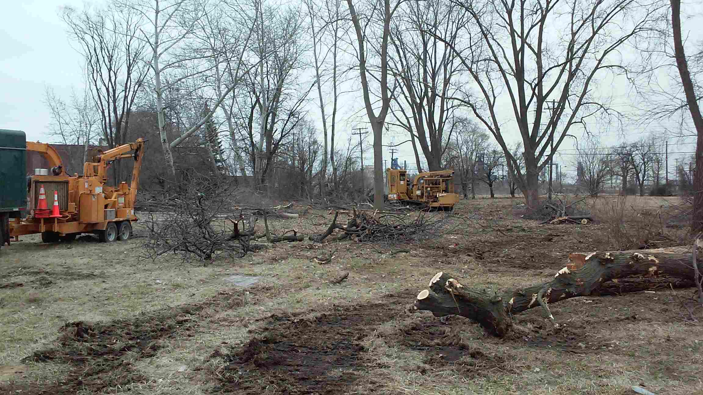 Tree Removal Property Clearing